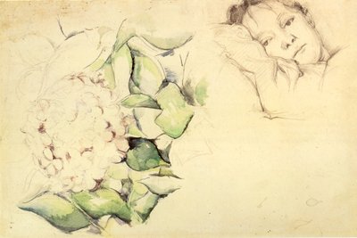 Madame Cézanne con hortensias de Paul Cézanne